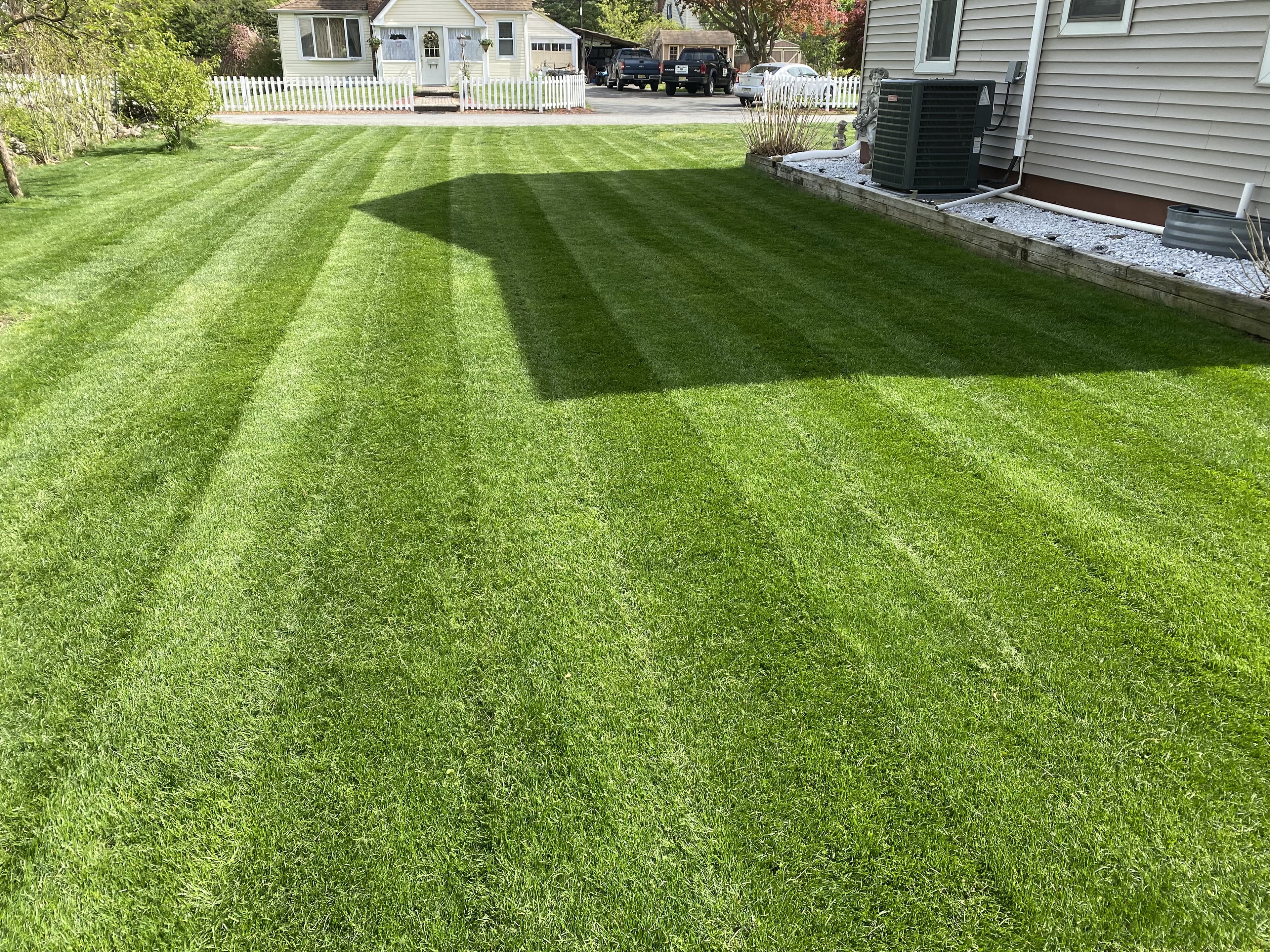 lawn maintainance